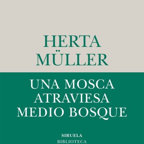 UNA MOSCA ATRAVIESA MEDIO BOSQUE