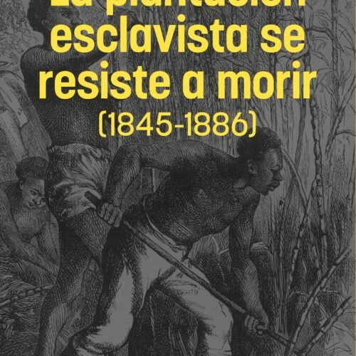 LA PLANTACIÓN ESCLAVISTA SE RESISTE A MORIR (1845-1886)