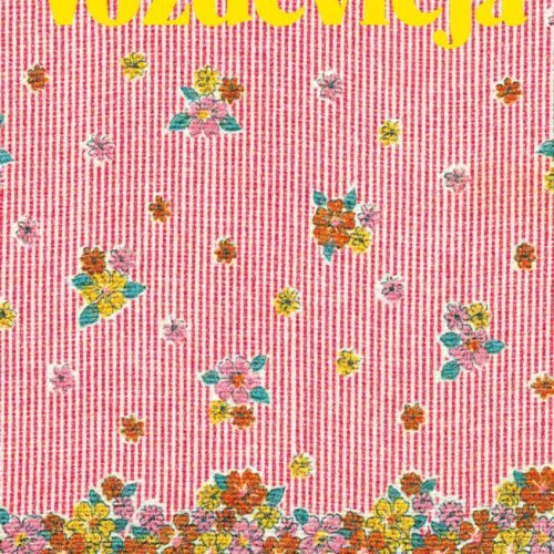 978-84-17552-13-8.jpg VOZDEVIEJA