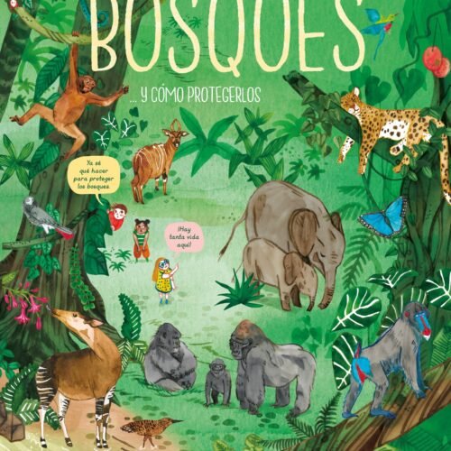 BOSQUES Y COMO PROTEGERLOS