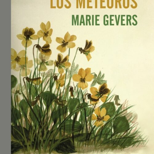 978-84-19158-69-7.jpg PLACER DE LOS METEOROS,EL