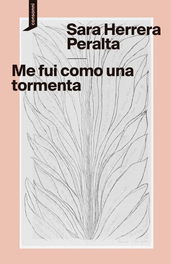 ME FUI COMO UNA TORMENTA