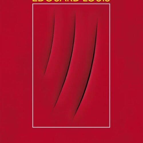 HISTORIA DE LA VIOLENCIA