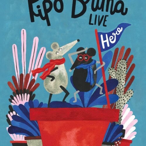 PIPO & BRUMA LIVE HERE