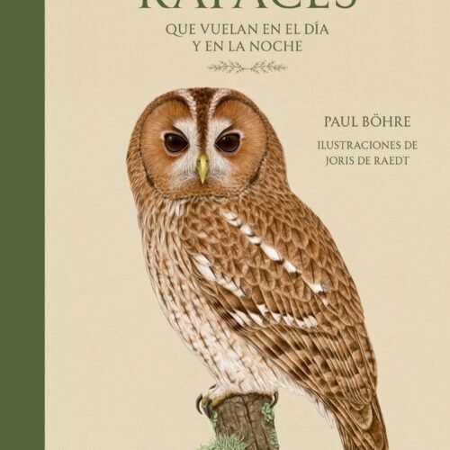 RAPACES QUE VUELAN EN EL DIA Y EN LA NOCHE