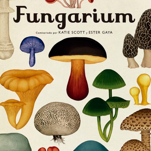 FUNGARIUM