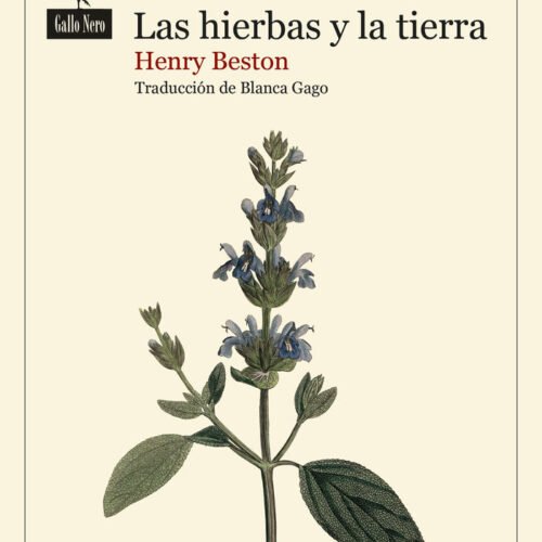 LAS HIERBAS Y LA TIERRA