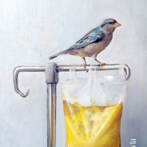 978843394772.jpg AMARILLA