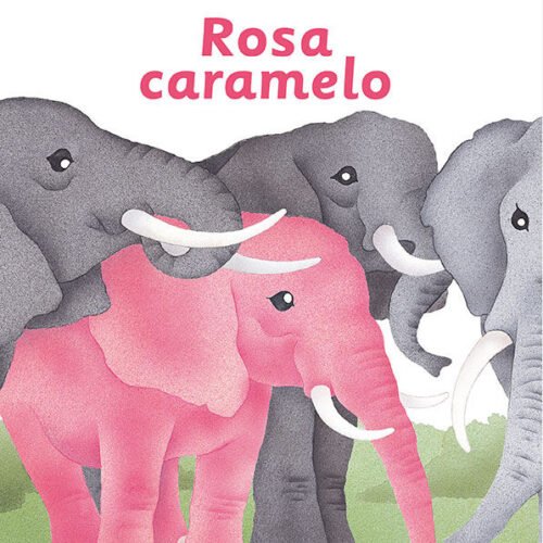 978848464798.jpg ROSA CARAMELO