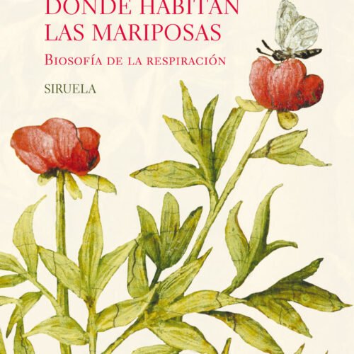 EL PUENTE DONDE HABITAN LAS MARIPOSAS