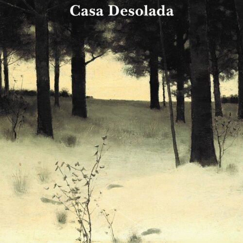CASA DESOLADA