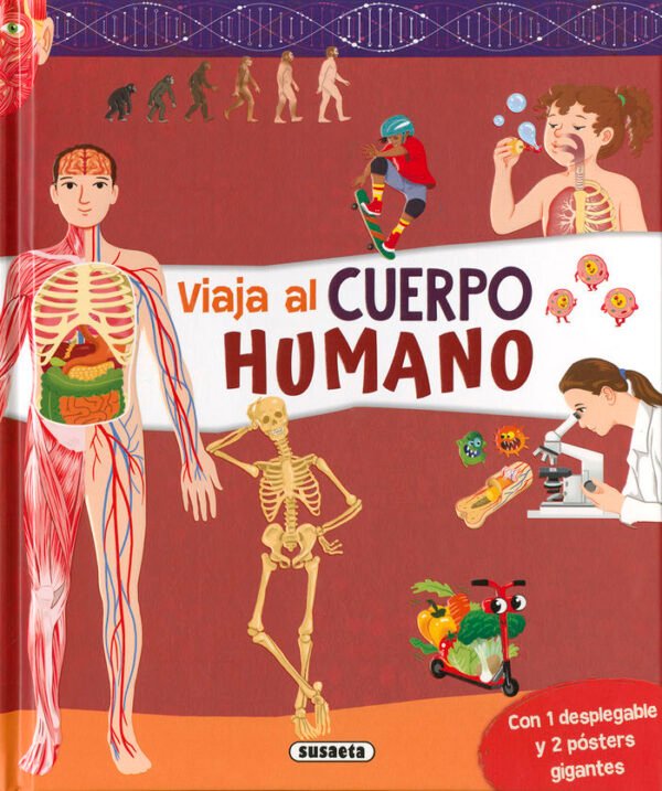 CUERPO HUMANO