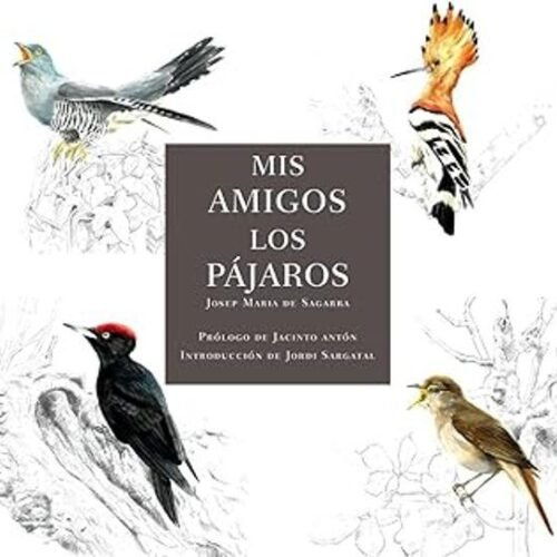 MIS AMIGOS LOS PÁJAROS