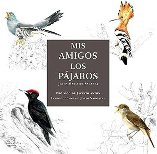MIS AMIGOS LOS PÁJAROS