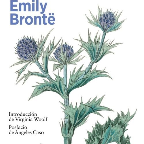 978841955893.jpg CUMBRES BORRASCOSAS