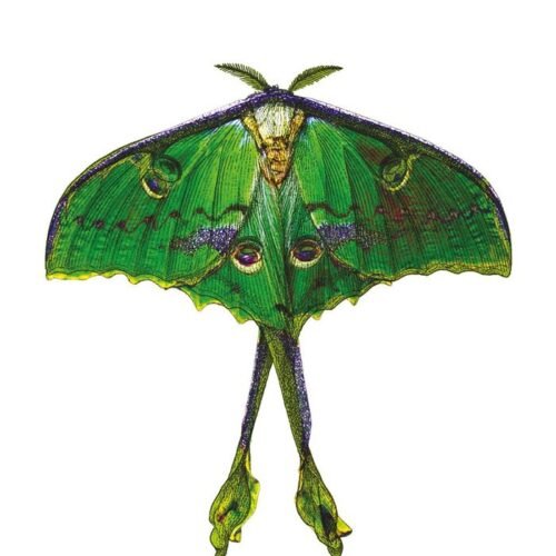 978841904762.jpg MUERTES EJEMPLARES