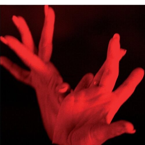 978849421857.jpg EL CORDERO CARNÍVORO