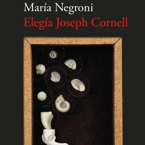 ELEGÍA JOSEPH CORNELL