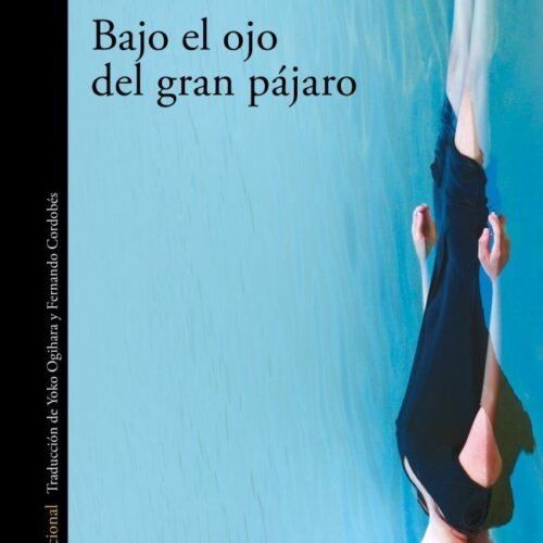 BAJO EL OJO DEL GRAN PAJARO