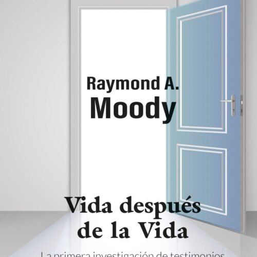 Vida después de la vida