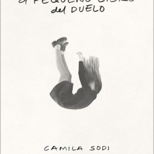 EL PEQUEÑO LIBRO DEL DUELO