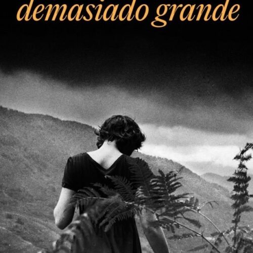 978843973573 UN CORAZON DEMASIADO GRANDE