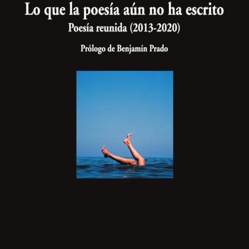 LO QUE LA POESIA AUN NO HA ESCRITO