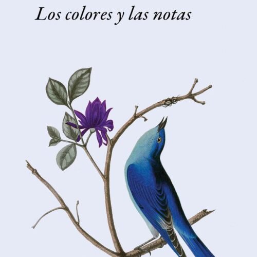 LOS COLORES Y LAS NOTAS