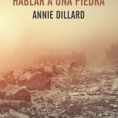 ENSEÑARLE A HABLAR A UNA PIEDRA