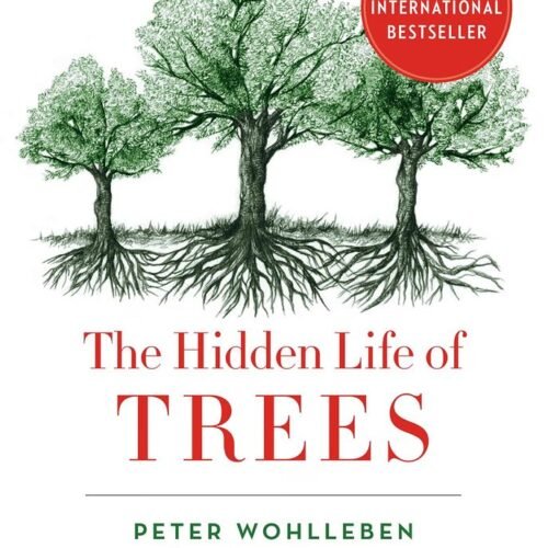 THE HIDDEN LIFE OF TREES