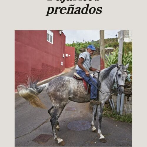 PAJARITOS PREÑADOS