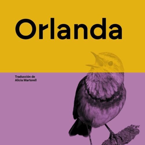 979137009302 ORLANDA